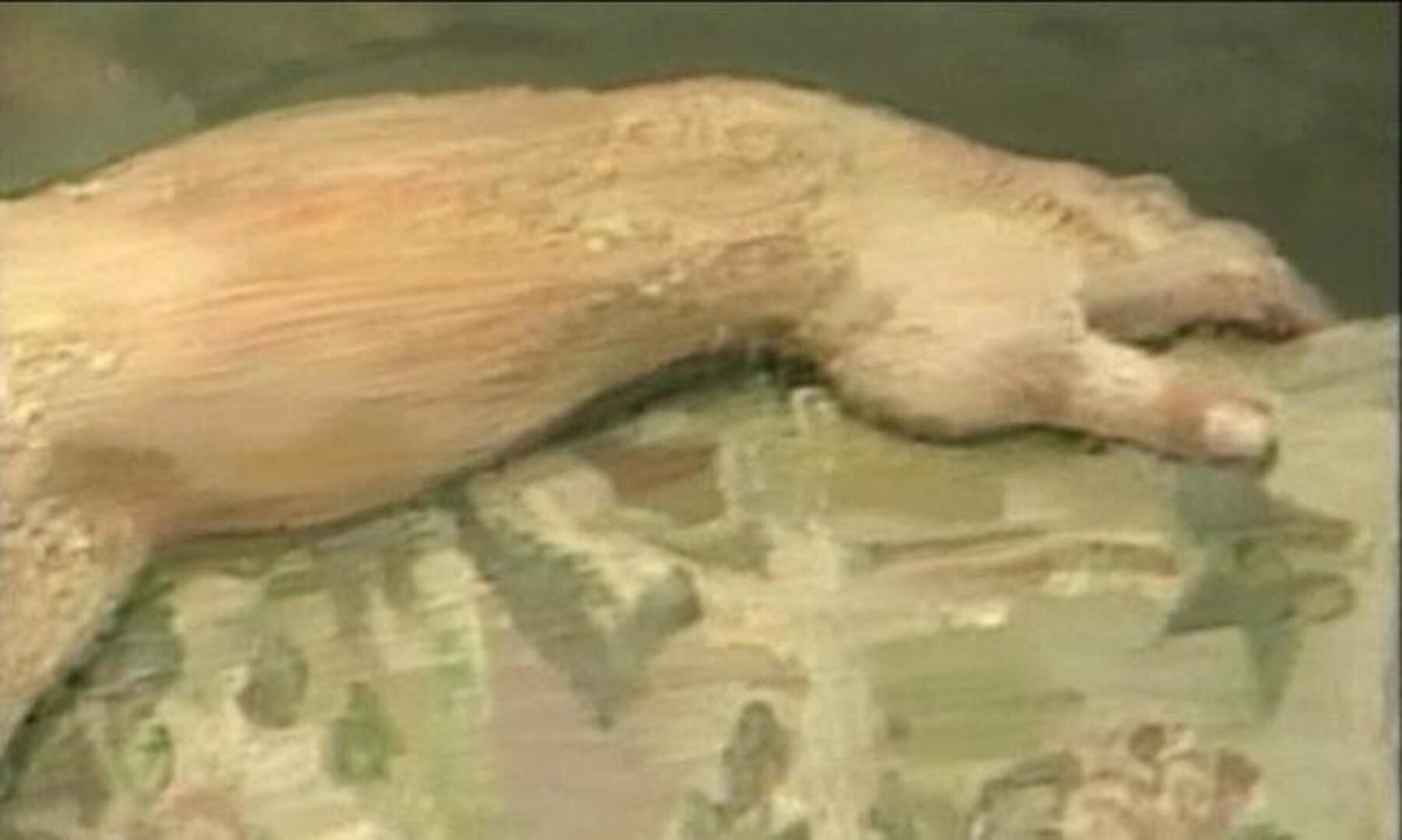 Muere el pintor Lucian Freud