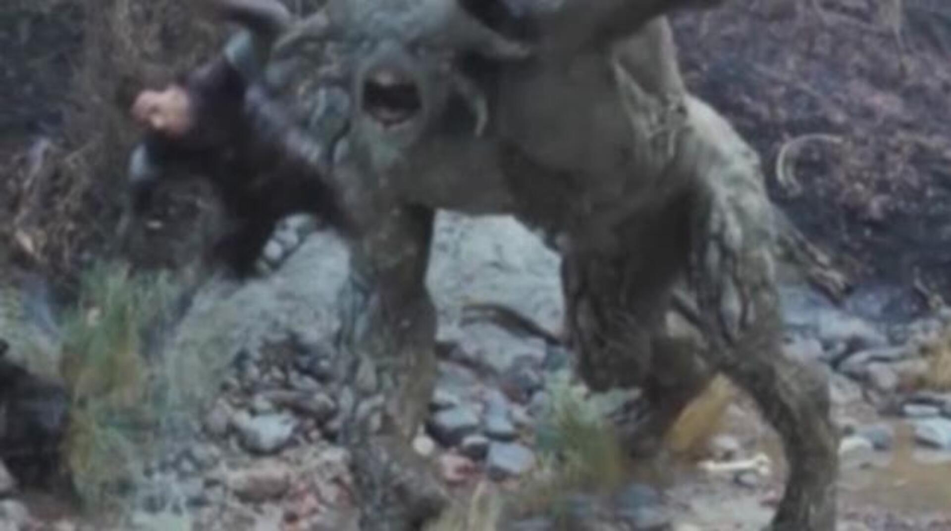 Kristen Stewart enseña pecho en «On the Road»