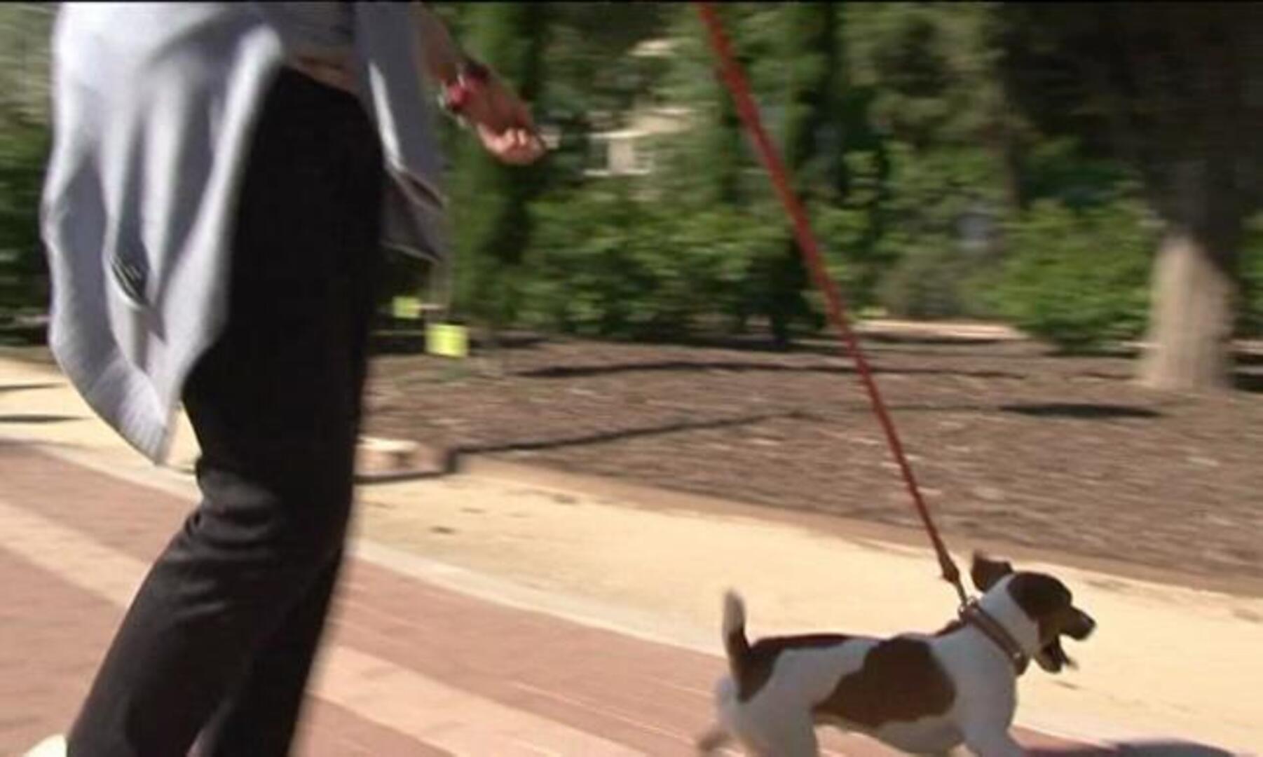 Jornada de reflexión en familia