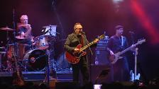 Elvis Costello se mete en un jardín en su gira española