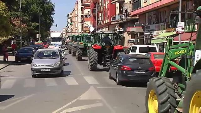 Miles de agricultores se suman a la tractorada por la crisis del aceite de oliva en Úbeda (Jaén)