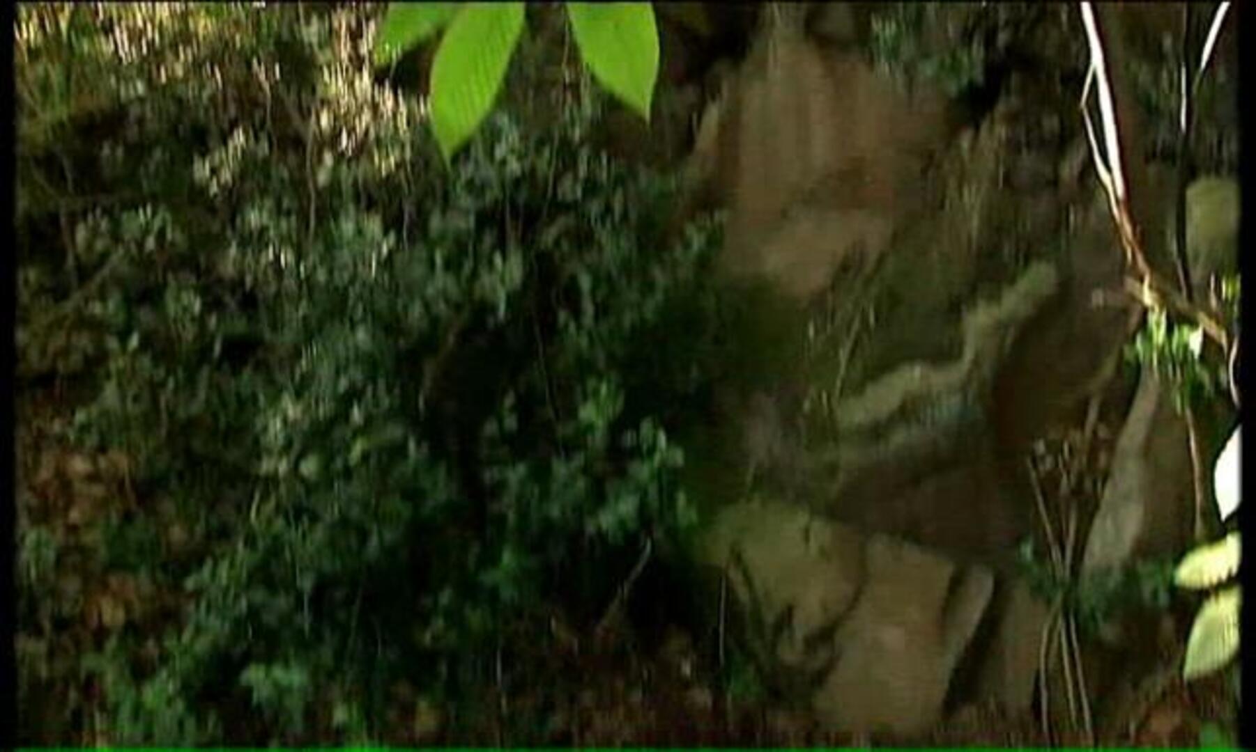 La Ertzaintza halla un zulo de ETA con armas y material electrónico