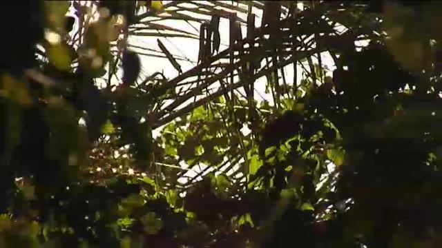 Alerta por viento en varias provincias