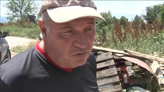 Final feliz para Penka, la vaca búlgara que se fugó y regresó a la Unión Europea