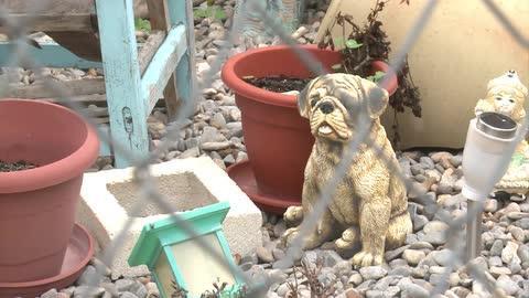 Una comisión judicial acude a desahuciar a una mujer y halla su cuerpo momificado