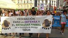 Vuelve el Toro de la Vega y por segundo año consecutivo sin matar al astado