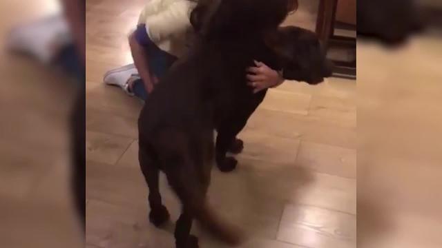 Lara Álvarez se reencuentra con alguien muy especial