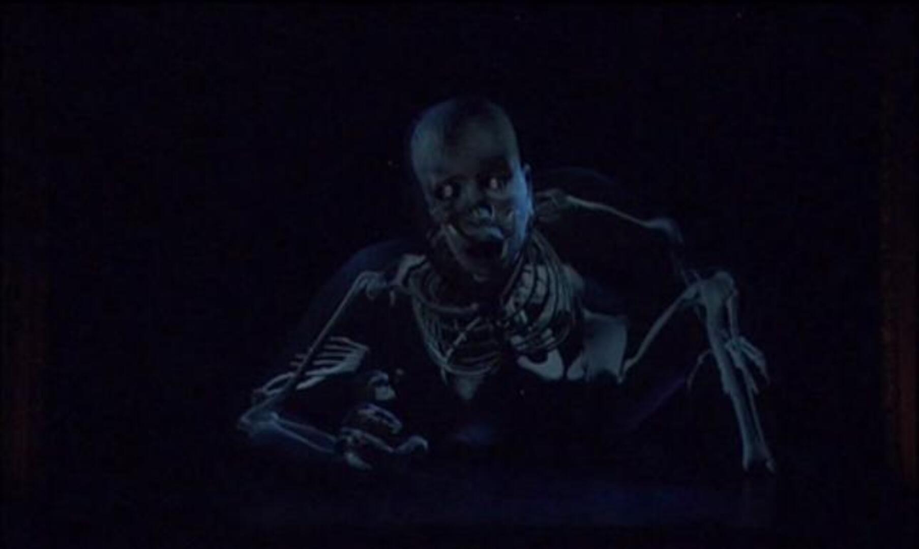 La fuerza de La Fura