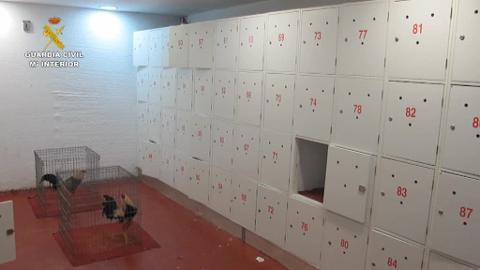 Imagen de un agente con uno de los animales rescatados