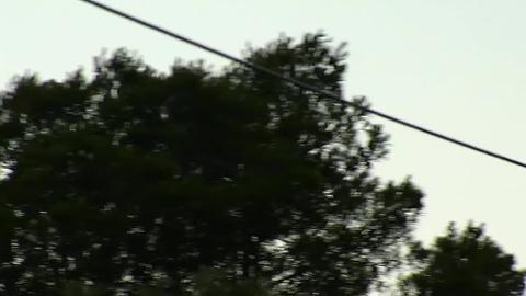 Imagen del incendio captada este jueves