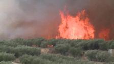 Estabilizado el fuego en Llutxent, Valencia