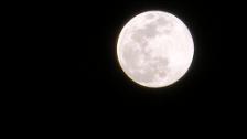 Superluna de marzo: la rara «luna de gusano» que no se repetirá hasta 2030