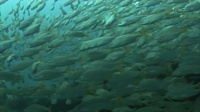 España candidata a los Premios Natura 2000 que entrega la Comisión Europea