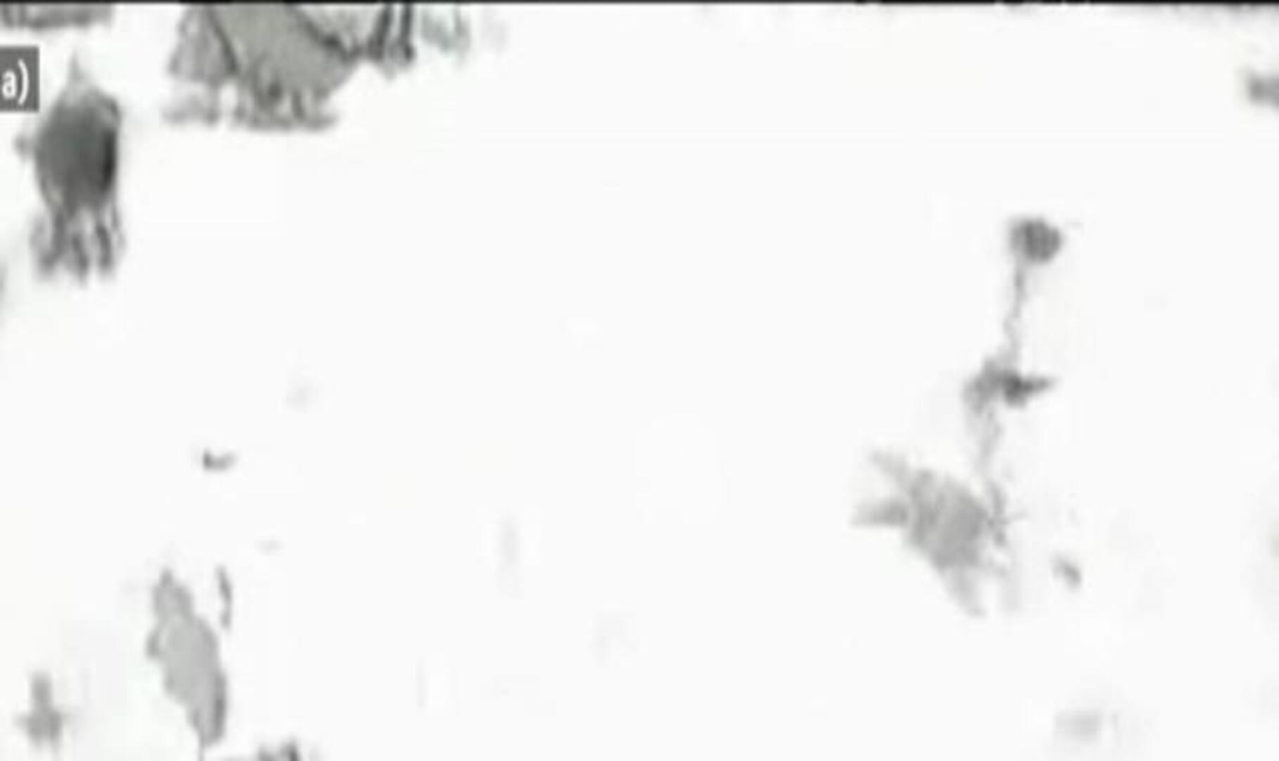 Inquietud en San Sebastián por el impacto económico de la prohibición de los toros