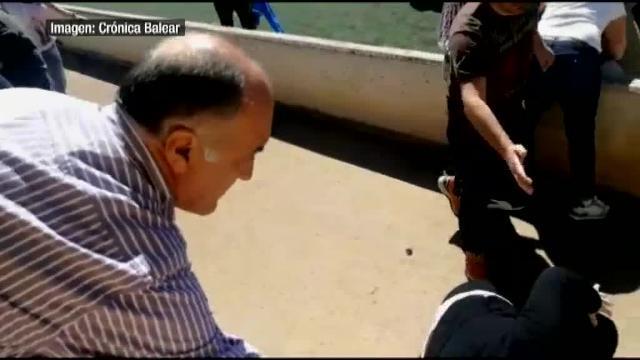 Batalla campal entre padres en un partido de fútbol de infantiles en Mallorca