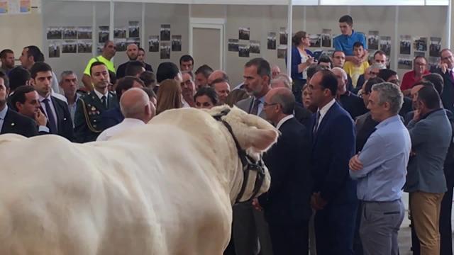 Felipe VI inaugura &#039;Salamaq 2018&#039;