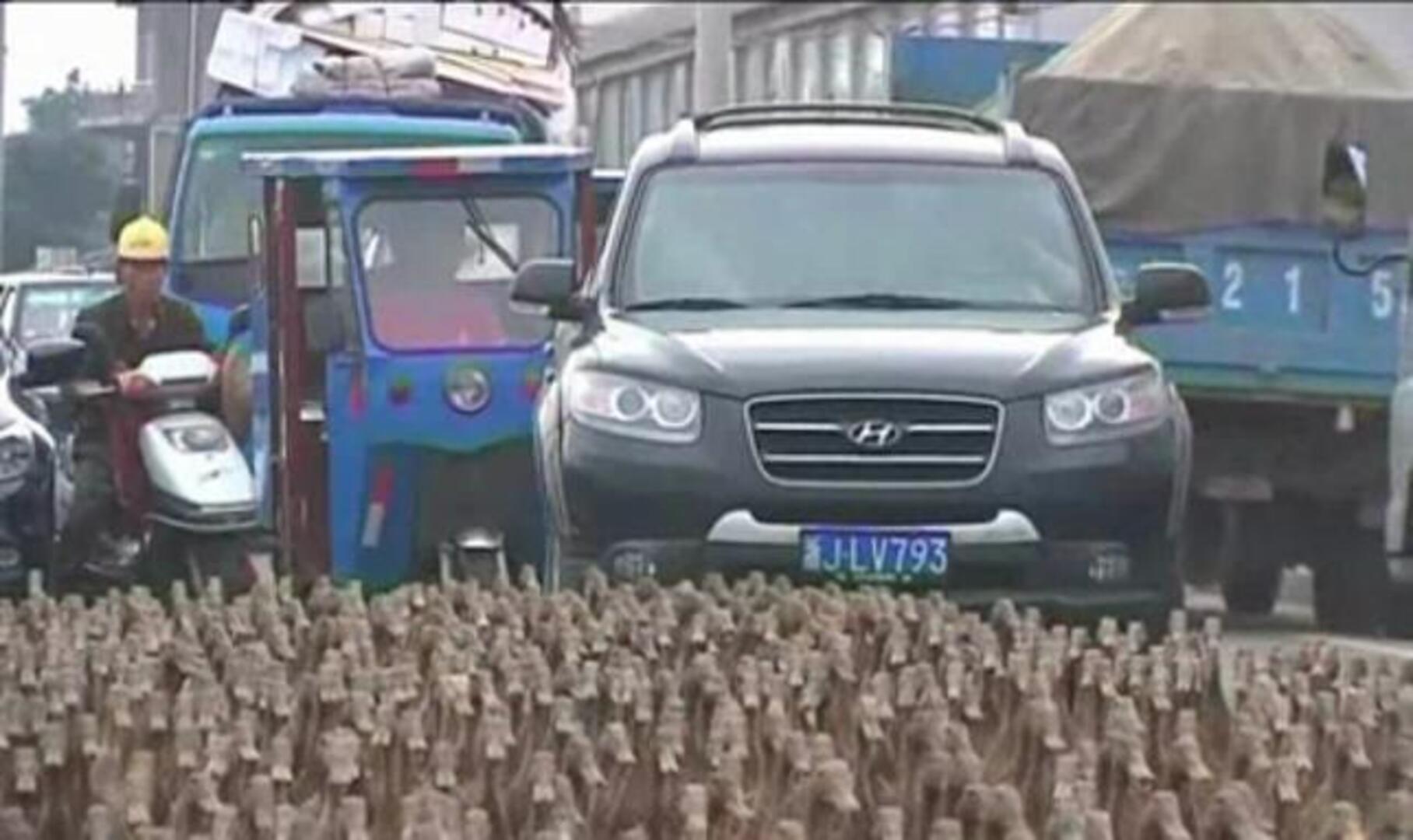 5.000 patos toman la calle en China