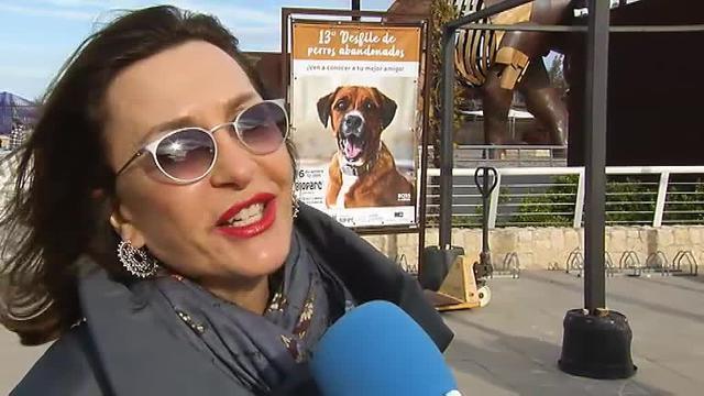 Los perros no son un juguete