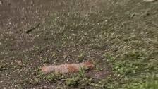 ¿Hasta cuando durará la ola de calor en Sevilla?