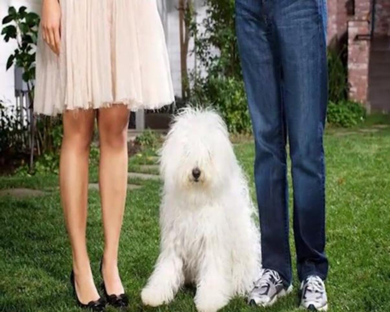 Mark Zuckerberg contrae matrimonio con Priscilla Chan