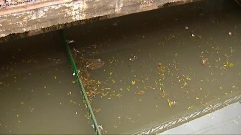 Imagen del temporal de lluvia de la noche de ayer en Valencia