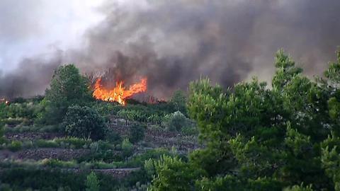 Imágenes efectivos URAF de bomberos CPBC dirigiéndose a trabajar en uno de los flancos del fuego