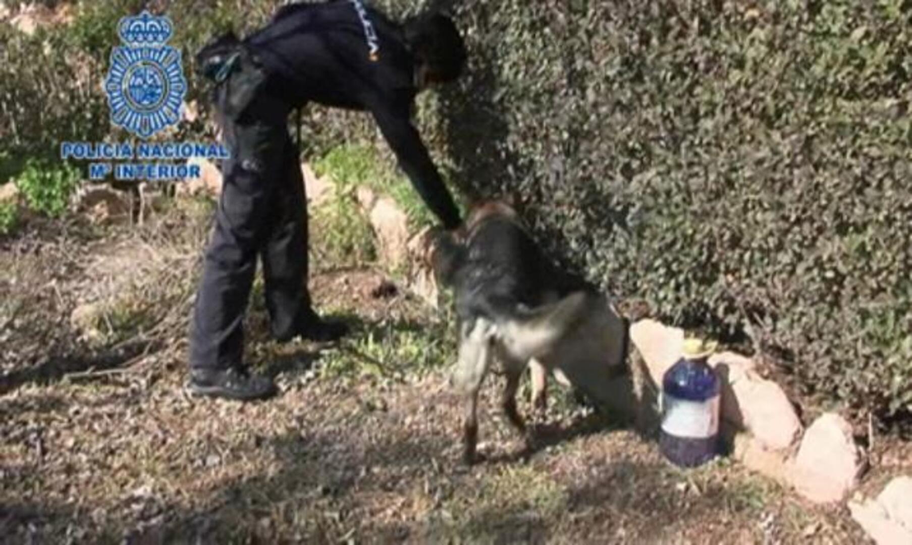 Cae una red que «compraba» prostitutas «hipotecadas» para explotarlas luego