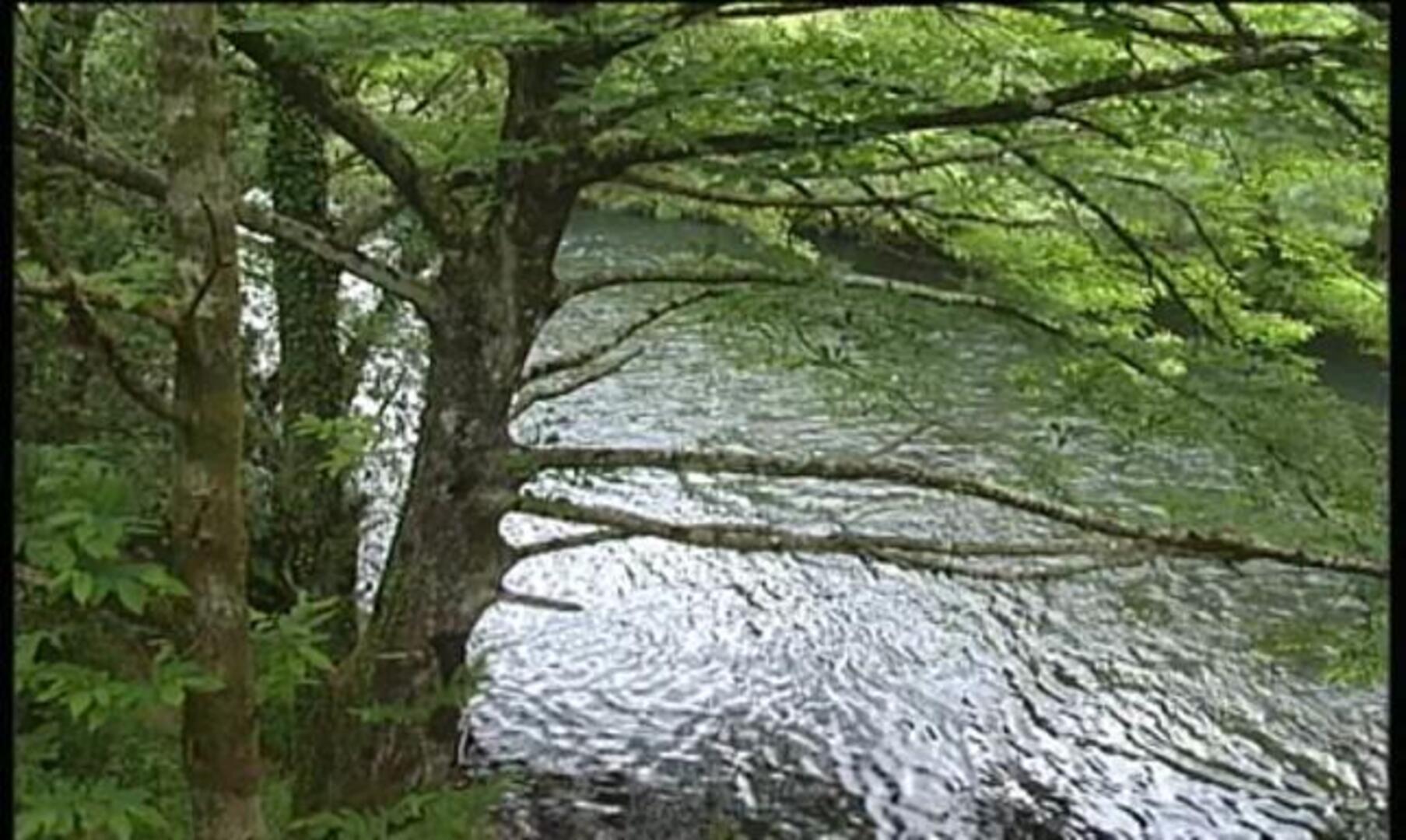 Así eran las Fragas del Eume
