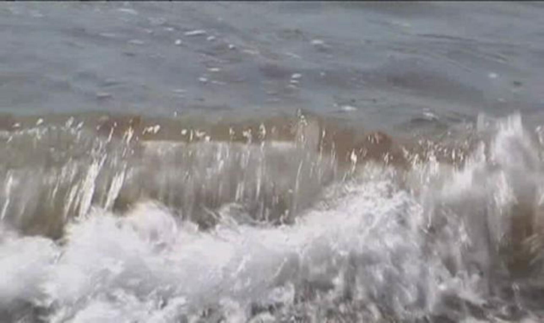 La tecnología GPS se une a la lucha contra las medusas