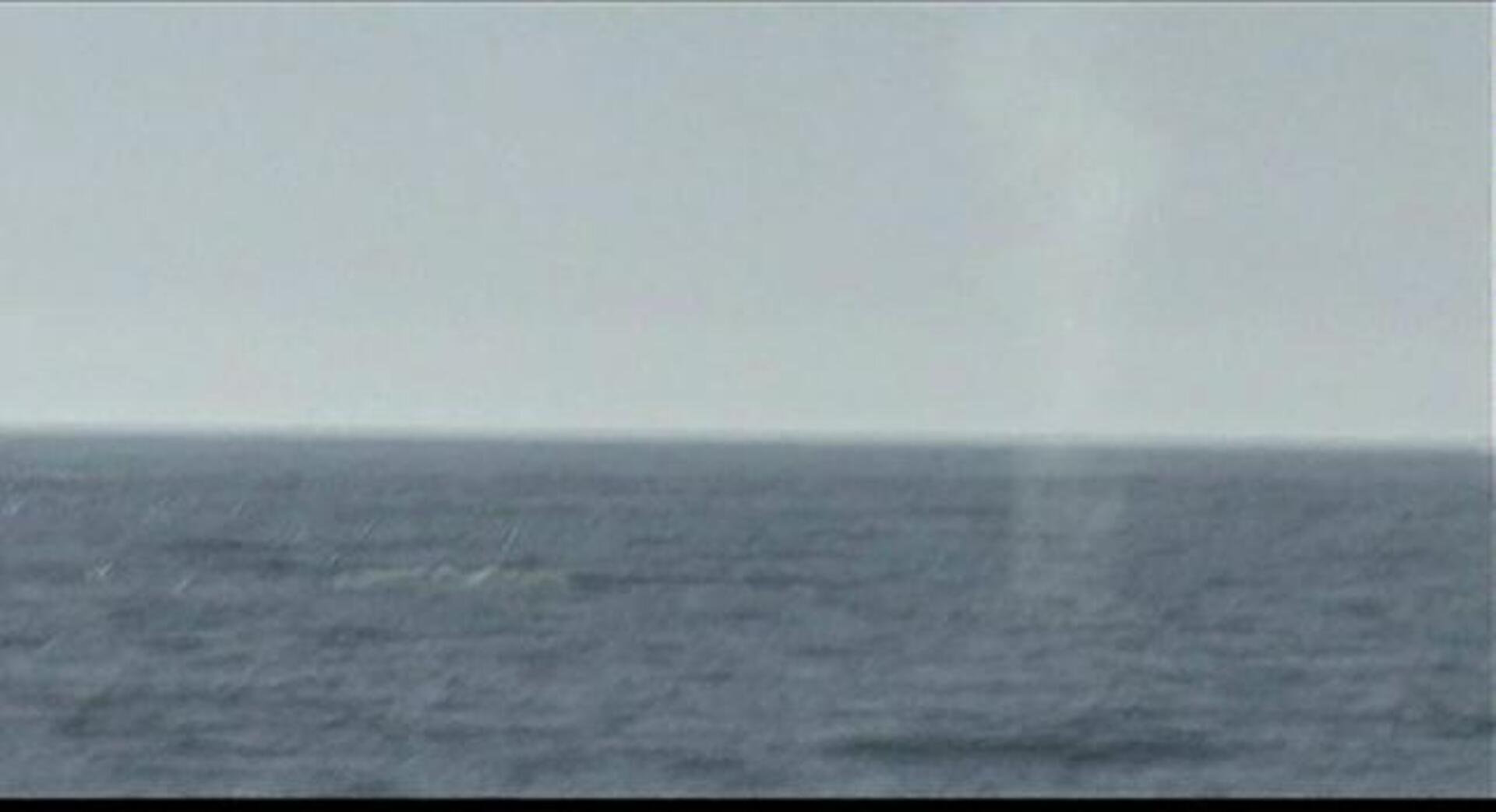 Avistan ballenas azules cerca de Los Angeles