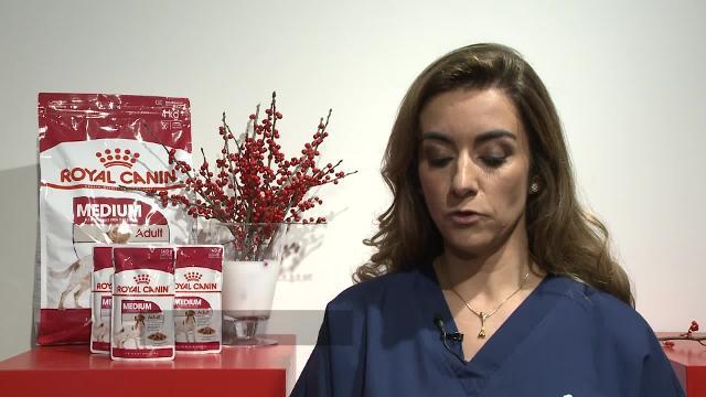 Nuria Roca y su perrita Pepita abanderan el reto del sobrepeso en mascotas