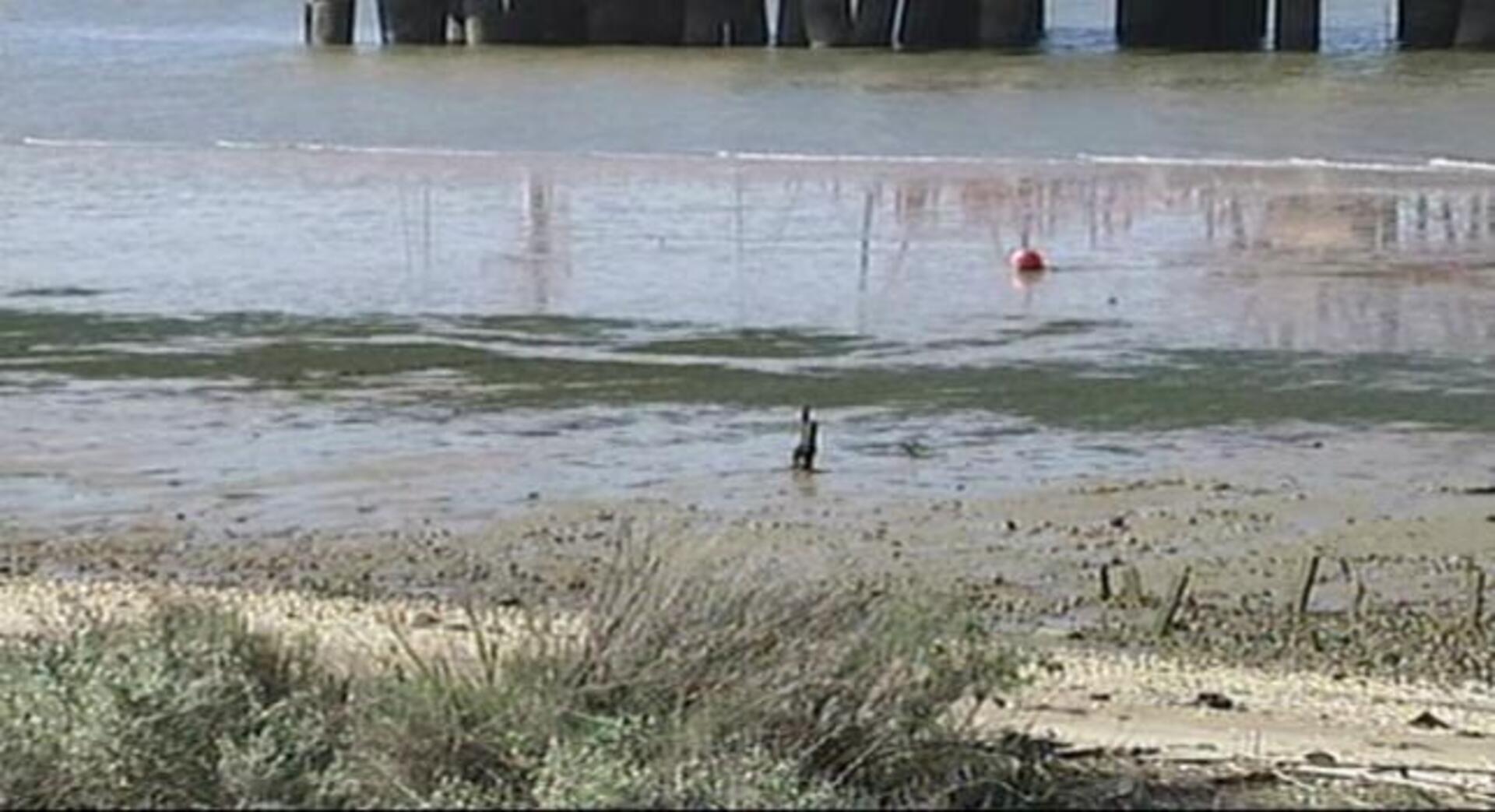 Los forenses confirman que Mari Luz murió por asfixia