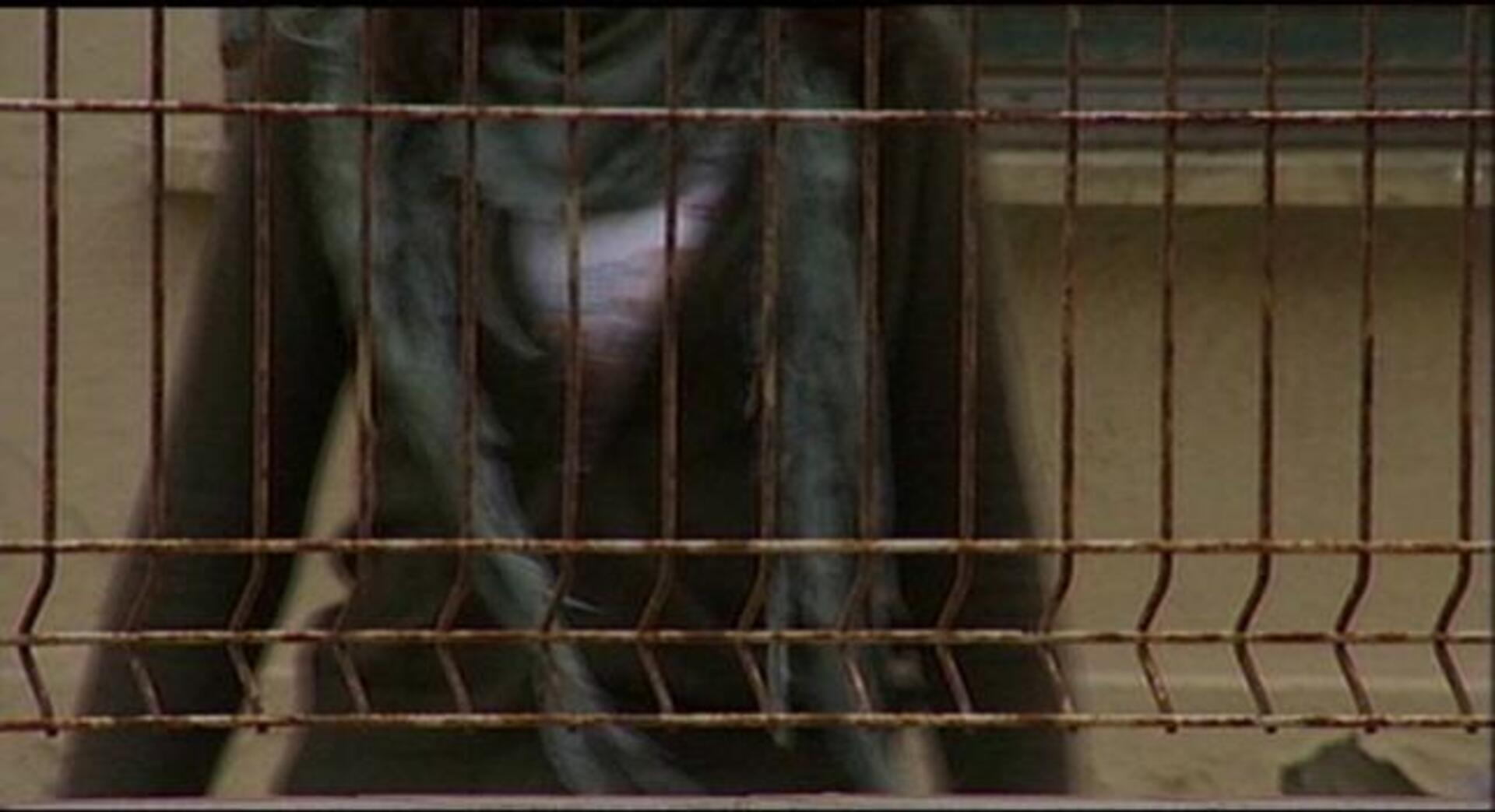 El profesor que habló del jamón: «La denuncia es ridícula, insostenible y grotesca»