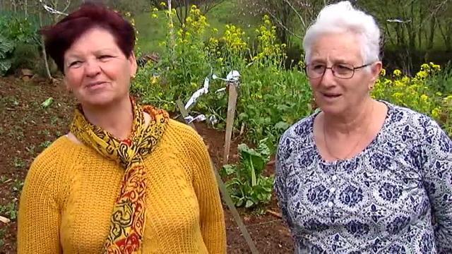 Vídeo de las dos abuelas gallegas que se han convertido en estrellas de Youtube tran encontrar una planta de marihuana en su huerto