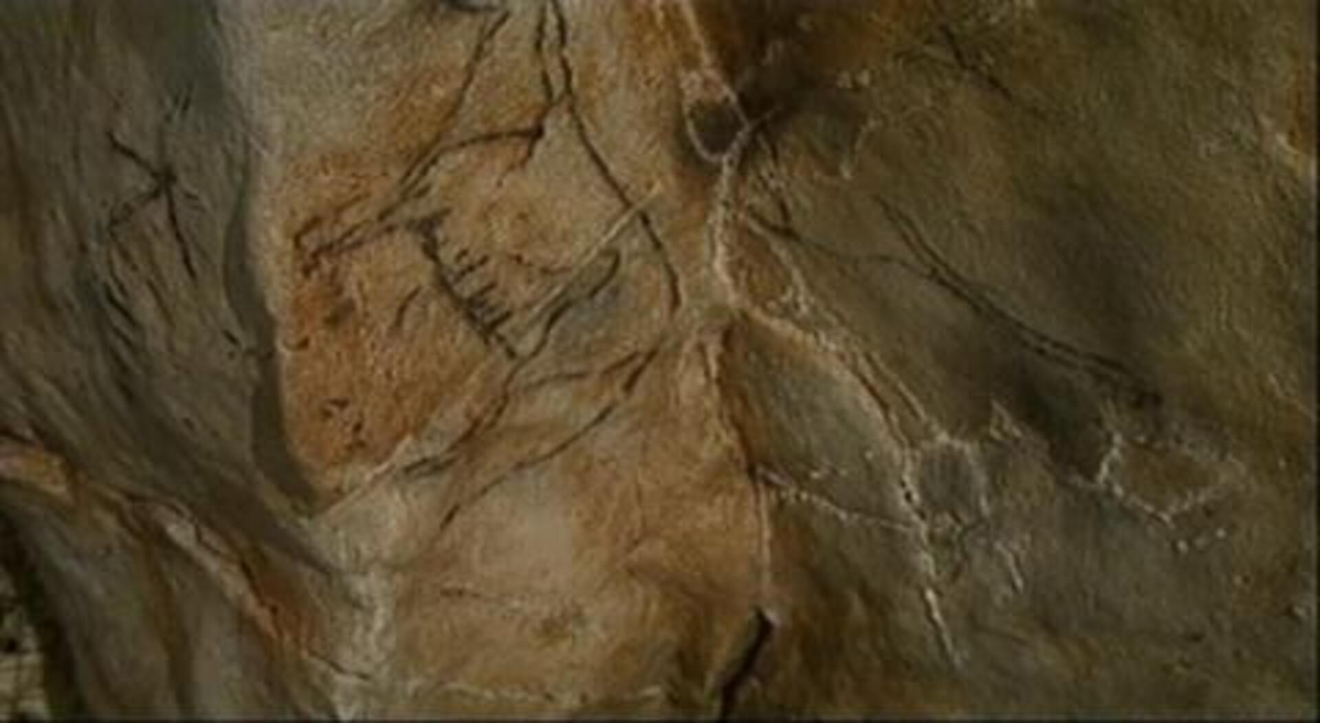 Altamira reabre ocho años después