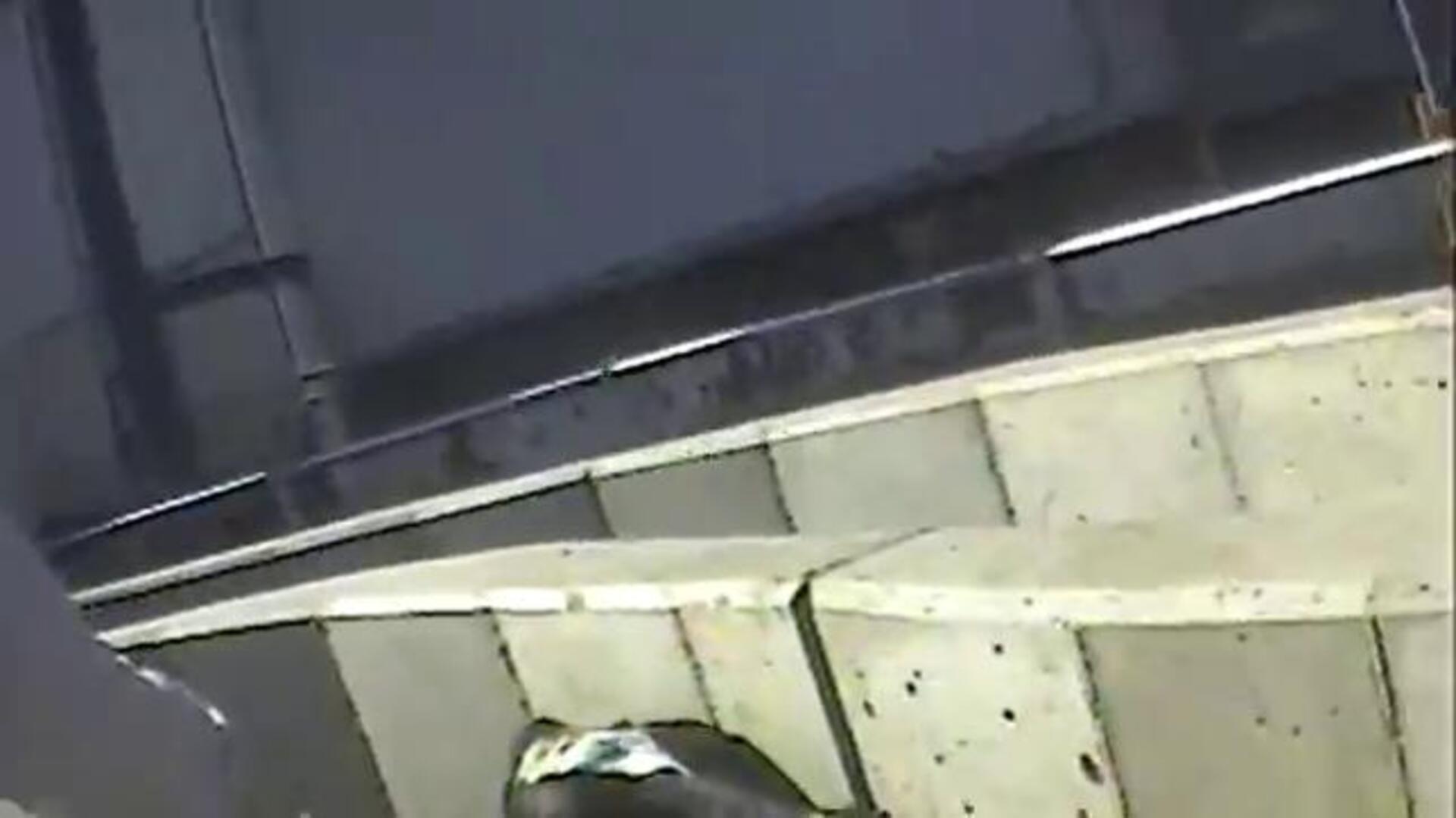 McDonalds suspende sus compras a un matadero que torturaba a las reses