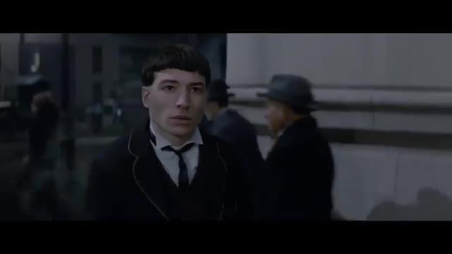 «Animales fantásticos y dónde encontralos» (***): Sin Potter y con un toque borgiano