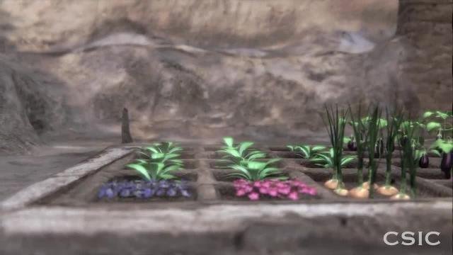 Vista aérea del jardín ritual encontrado en Luxor, con más de 4.000 años de antigüedad