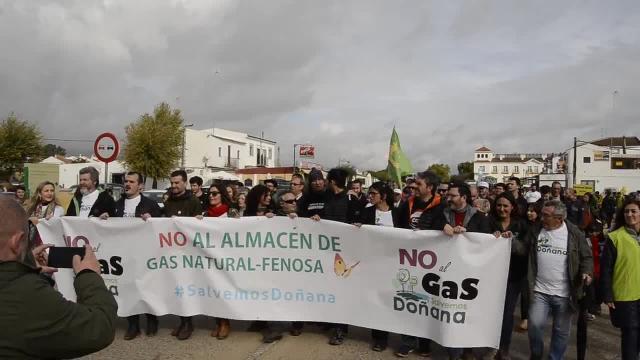 Cabecera de la protesta convocada por la plataforma «Salvemos Doñana»