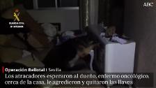 Brutal asalto en una parcela de La Algaba con una familia dentro