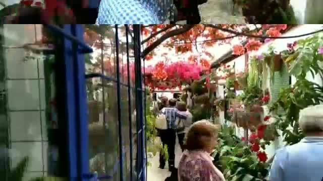 Patios de Córdoba: time lapse en Marroquíes, 6