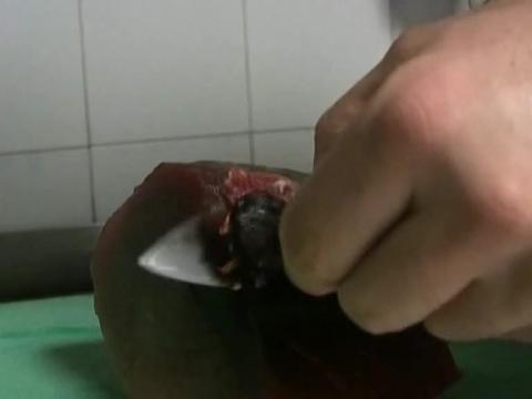 Las especialidades de La Vinería de San Telmo