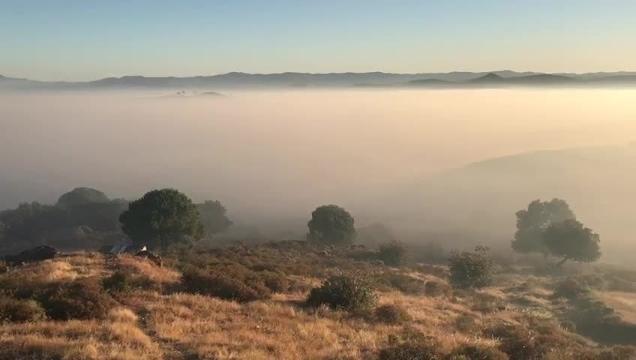 Zona del incendio a primera hora de la mañana