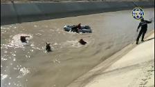 Un potro casi muere ahogado en un canal de Torreblanca en Sevilla