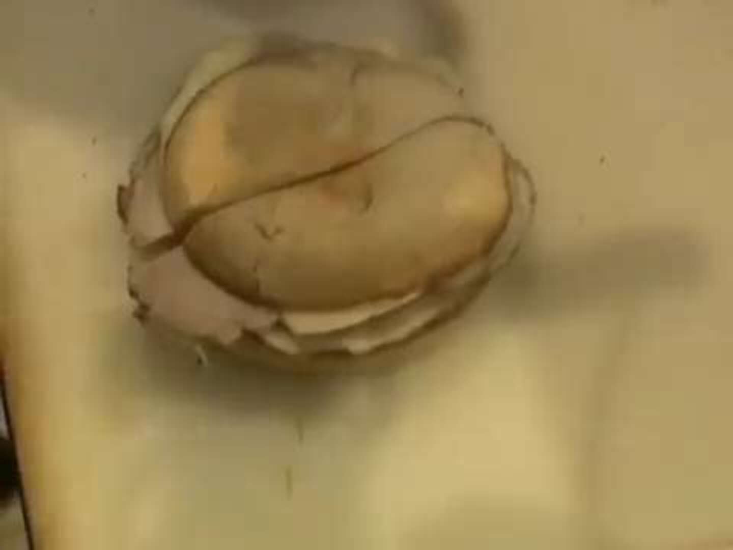 Qué puedes comer en La Flor del Toranzo, en Sevilla