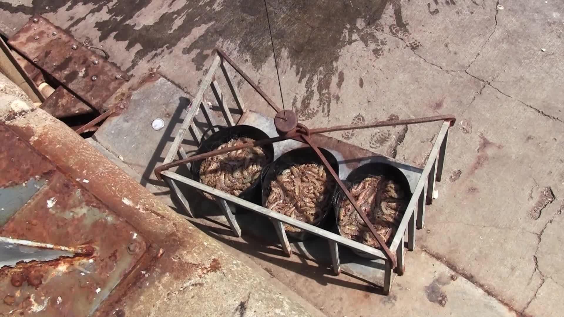 Así compra Eduardo Guardiola el pescado de Tribeca y Cañabota