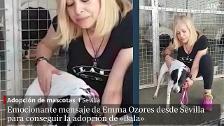 Emocionante mensaje de Emma Ozores desde Sevilla para conseguir la adopción de «Bala»