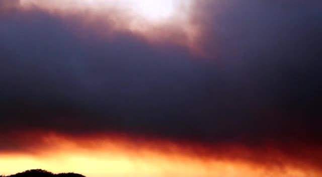 Efectivos del Infoca tratan de evitar que el fuego llegue a la carretera