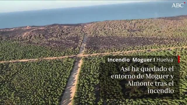 En las próximas horas se irán concociendo los datos sobre superficie afectada