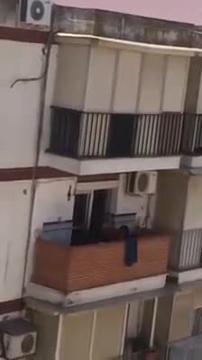 Vídeo del momento en el que la dueña maltrata al animal